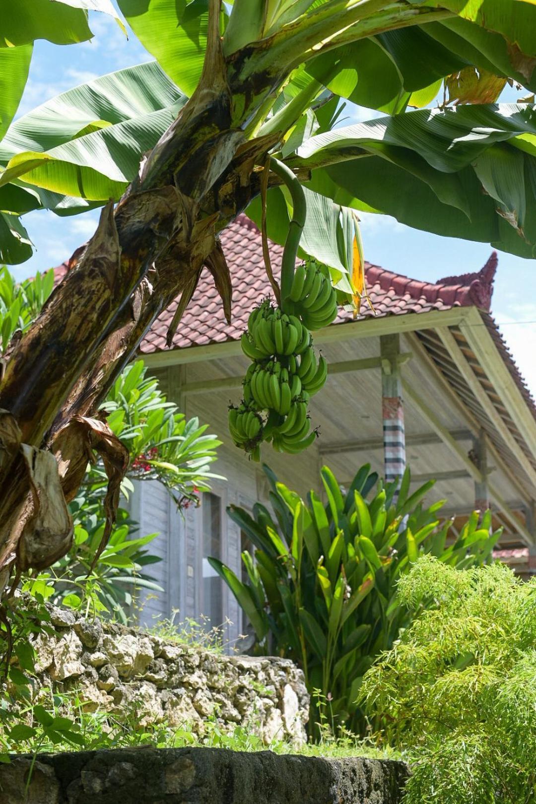 Mesari Hut Lembongan Hotell Exteriör bild